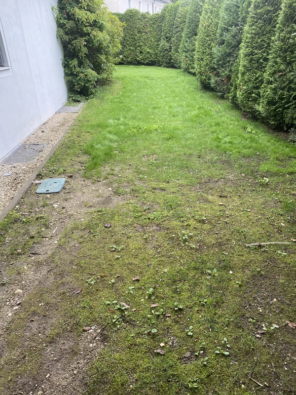 Umgestaltung Vorgarten 2